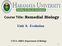 Unit 6. Evolution.pptx